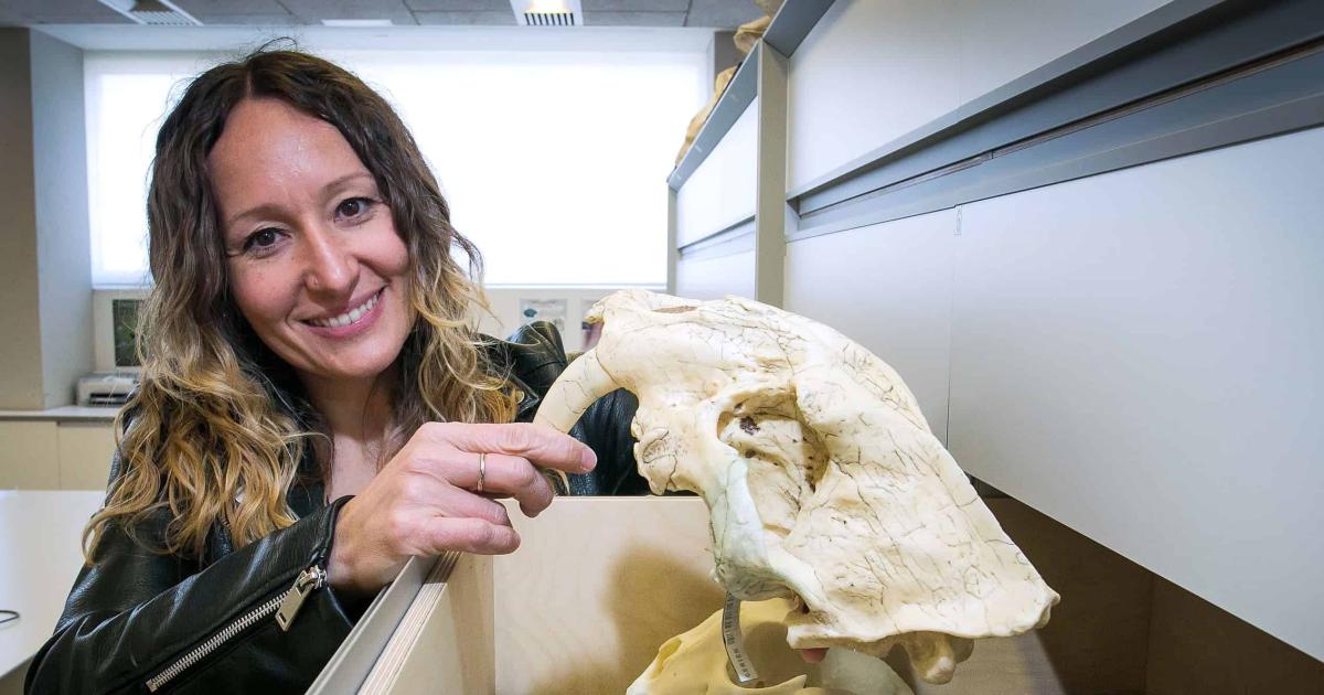 Forenses De Atapuerca Tras Las Pistas Del Origen De Los Rituales Funerarios