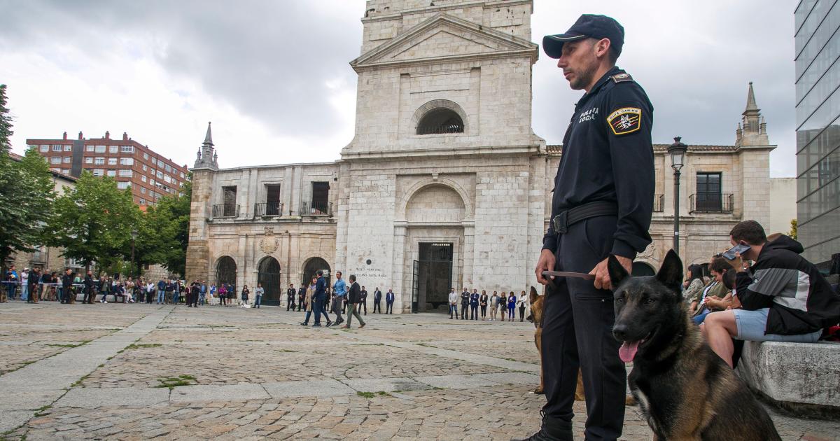 Las Mejores Fotos De La Exhibici N De Unidades Caninas En Burgos