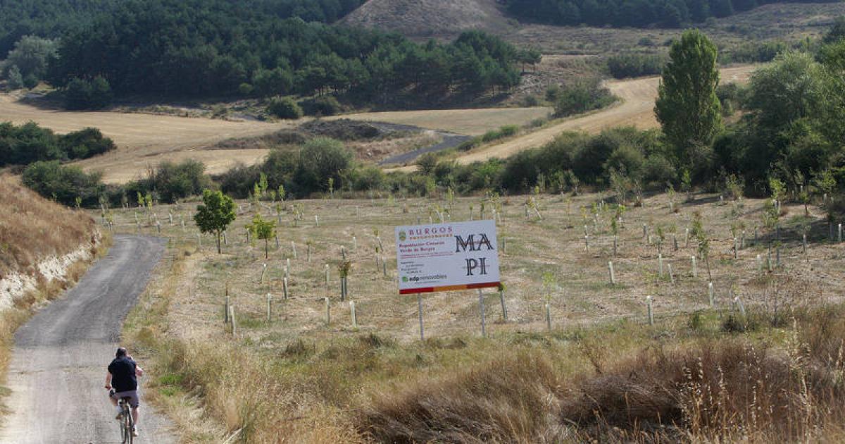 El Consistorio tiene 20 hectáreas para ampliar el cinturón verde