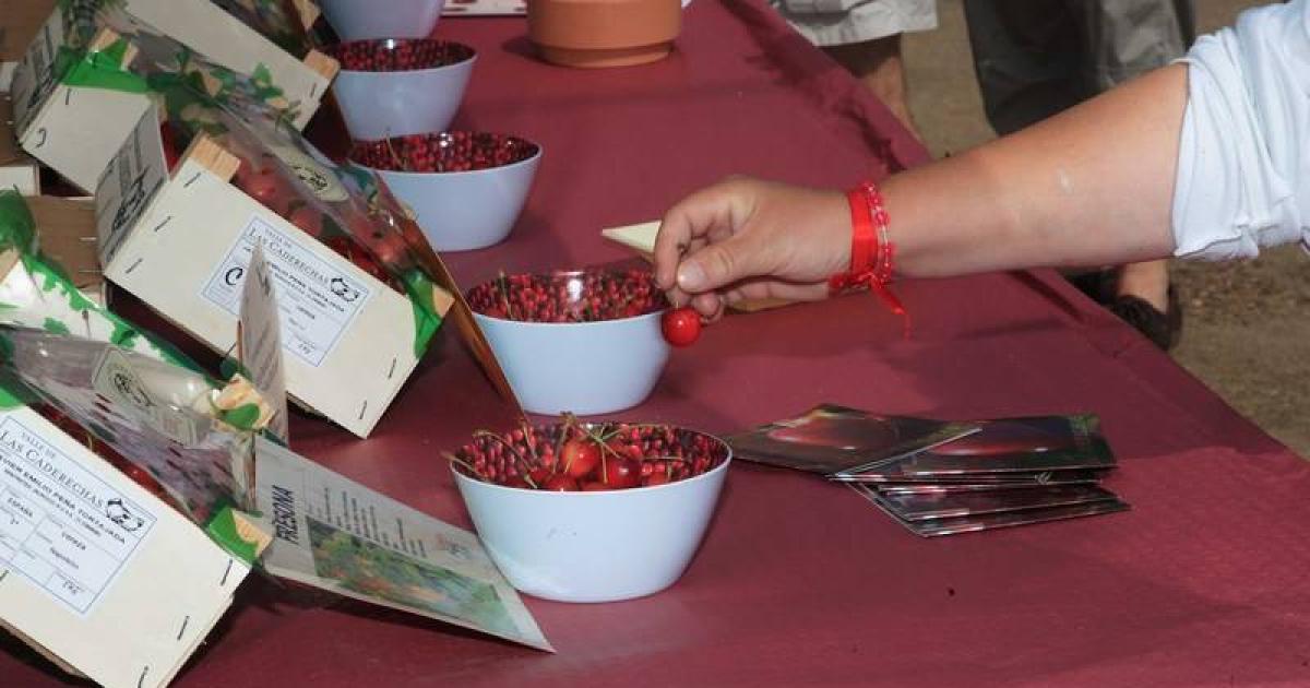 Salas de Bureba acogerá la Feria de la Cereza del Valle de las Caderechas Salas de Bureba acogerá la Feria de la Cereza del Valle de las Caderechas