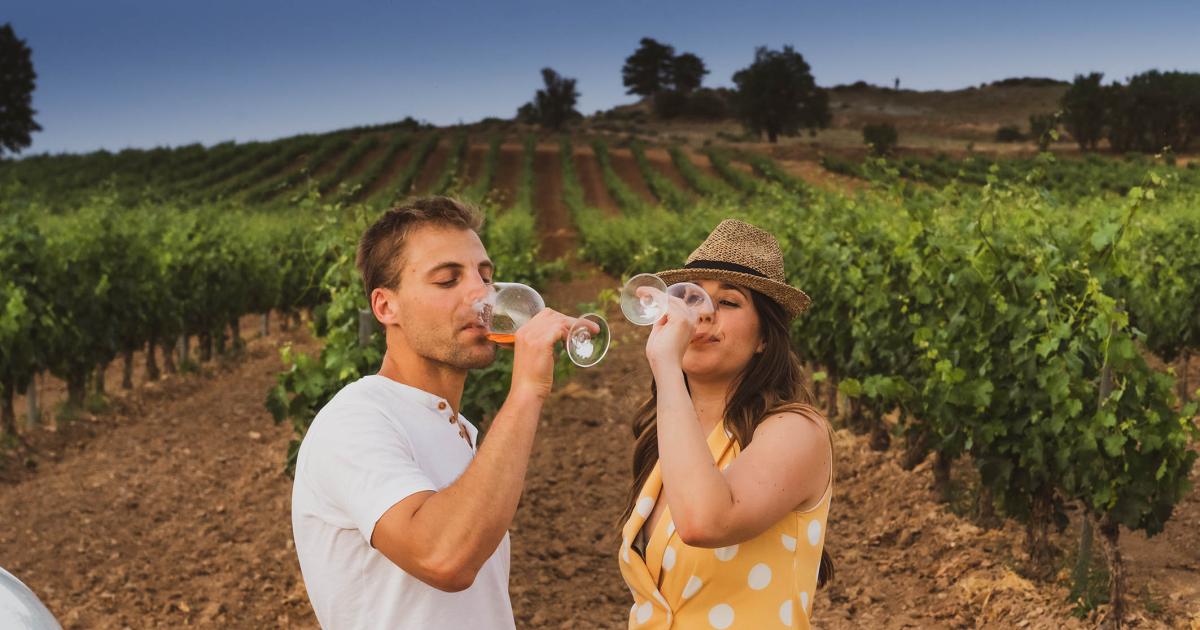 Estas son las tres Rutas del Vino más visitadas de España