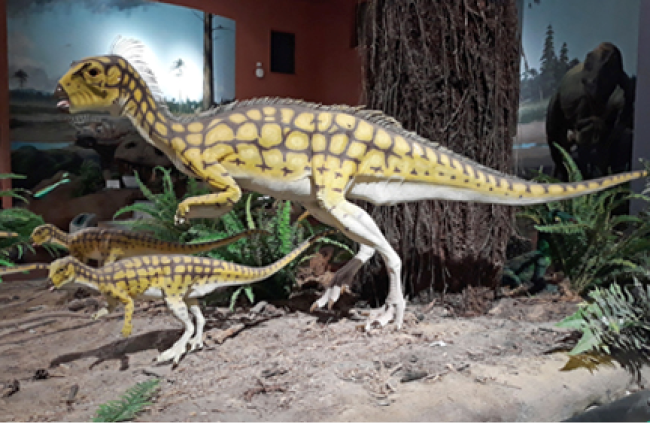 Reconstrucción en vida hipsilofodonte, la familia que se relaciona con el cráneo de dinosaurio de Salas que se analiza en Grenoble.