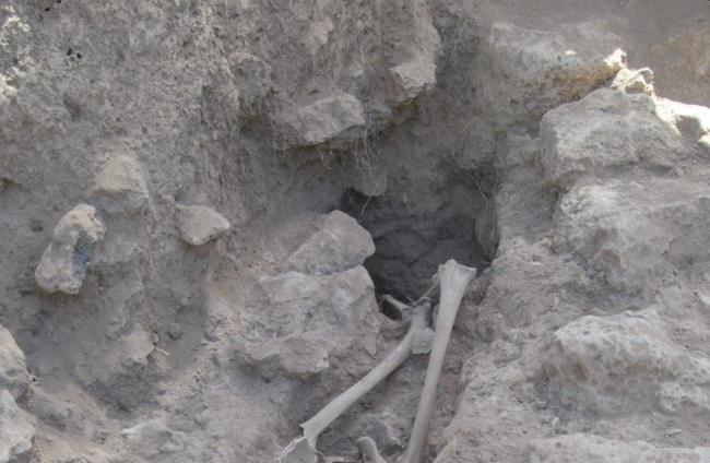 Imagen del enterramiento en el que se localizaron 14 cuerpos, dos de ellos aún conservaban rastros de ADN. UBU