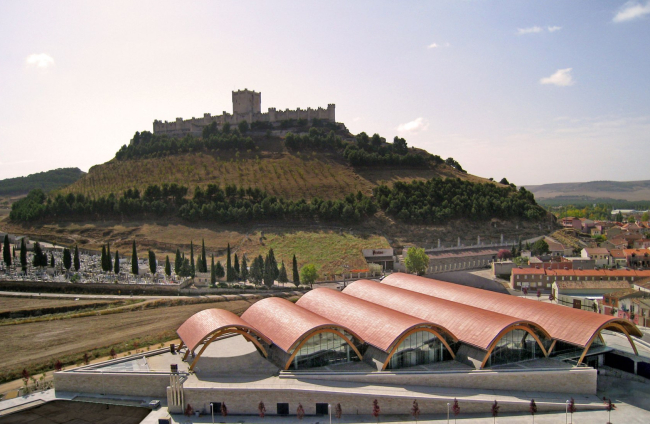 Bodegas Protos