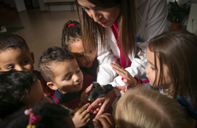 Una docente muestra a los niños uno de los polluelos.