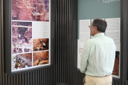 Presentación de la exposición 'Homo antecessor. El descubrimiento de una nueva especie'