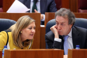 La consejera de Hacienda, Pilar del Olmo, conversa con el consejero de la Presidencia, José Antonio de Santiago, durante el Pleno de las Cortes de Castilla y León-Ical