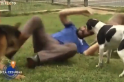 Momento en el que el cuidador patea al pastor alemán (a la izquierda) para zafarse de él.-EL PERIÓDICO