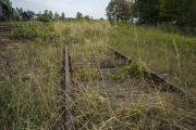 Antiguas vías de tren en un lugar entre Breslavia y Walbrzych en Polonia.-EFE