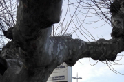 Un termómetro en la Plaza de Colón de Valladolid marca -7ºC a las ocho y media de la mañana-ICAL