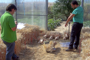 Imágenes de las instalaciones del Centro Tecnológico Agrario y Agroalimentario (Itagra).-ICAL