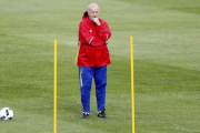 Del Bosque, en un entrenamiento de la selección española.-EFE / JUANJO MARTÍN
