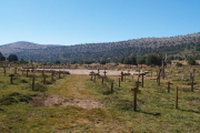 El entorno reconvertido gracias a Sergio Leone en el cementerio de Sad Hill se ubica entre los términos municipales de Contreras y Santo Domingo de Silos.-A. MARROQUÍN