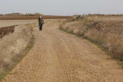 Un peregrino recorre el Camino Francés a escasos kilómetros de Castrojeriz.-RAÚL G. OCHOA