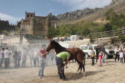 La V Feria del Caballo Losino de Pancorbo atrajo a más de un millar de visitantes.-G. G.