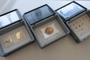 Las cajas muestran la mandíbula y restos del ejemplar mas antiguo de Elefante, el parietal de Fantasma y dientes de Antecessor. Se conservan en la sala acorazada. ECB