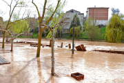 -