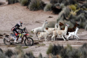 El argentino Diego Martín durante la séptima etapa de la edición de este año del Dakar.-AFP