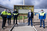 El director de la fábrica de Aranda, César Moñux, junto a varios trabajadores en la zona en la que se plantará la arboleda de las bodas de oro de la factoría. ECB