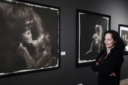 Isabel Muñoz observa la pieza que recoge un beso entre orangutanes.-Raúl Ochoa