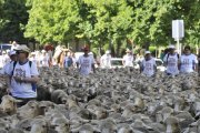 Son 13 personas las que se han apuntado a la actividad.-VALENTÍN GUISANDE