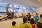 Un grupo de niños visita el Cenieh. ECB