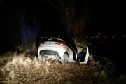 Imagen del vehículo accidentado.-POLICÍA LOCAL