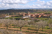 La floración de los cerezos del valle de Las Caderechas es ya visible desde las zonas bajas.-G. GONZÁLEZ
