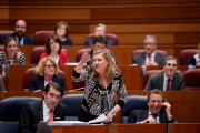 La consejera de Economía y Hacienda, Pilar del Olmo, durante su intervención en el Pleno de las Cortes de Castilla y León.-ICAL
