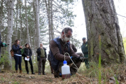 Alfonso Soriano, técnico de la empresa encargada de acometer los trabajos, inyecta productos fitosanitarios a los pinos.-RAÚL G. OCHOA