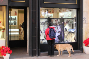 Una persona observa un escaparate de una tienda.-ISRAEL L. MURILLO
