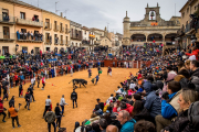 Carnaval del Toro en Ciudad Rodrigo (Salamanca)