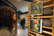 Exposición de fotografías ganadoras del décimo certamen nacional de fotografía científica 'Fotciencia' en el Ene.Museo Nacional de la Energía en Ponferrada (León)-Ical