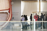 Solo en la mañana de ayer más de 400 personas se pasaron por el Museo de la Evolución Humana.-ISRAEL L. MURILLO
