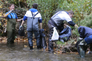 Un grupo de Voluntarios de CaixaBank colaboran en la extracción de la ‘basura’ del río a su paso por la ciudad.-RAÚL OCHOA