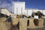 Un trabajador realiza distintas labores en las instalaciones de Agropal en Villoldo (Palencia), donde la cooperativa cuenta con una deshidratadora.-ICAL
