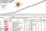 Datos evolución del coronavirus en Burgos.