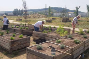 Un grupo de voluntarios realiza labores de jardinería.-ECB