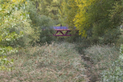 Tramo del río Vena junto al centro de salud José Luis Santamaría donde la vegetación no permite ver el cauce.-ISRAEL L. MURILLO