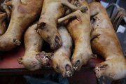 Imagen de archivo de preparativos para el festival de Carne de Perro de Yulin.-EFE