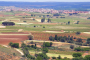 Una vista de la comarca ribereña, con Roa al fondo.-ECB