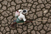 Sequía en la India-AP / MUSTAFA QURAISHI