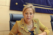 Rosa Valdeón en la Comisión de las Cortes-Ical