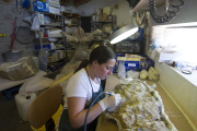 La restauradora del Museo de lso Dinosaurios trabaja en un área extremadamente limitada. ISRAEL L. MURILLO