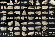 Fragmentos de la escultura antes de su reestructuración.-JCYL