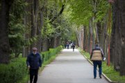 El Paseo de la Isla es uno de los espacios a analizar. T.ALONSO