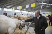 El presidente de la Diputación de Salamanca, Javier Iglesias, inaugura la Exposición, Concurso y Venta de ejemplares de la raza vacuna Aberdeen, Angus, Blonda de Aquitania, Charolés y Limusín.-ICAL