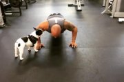 Dwayne, 'La Roca', Johnson, realizando el '22 push-up challenge'.-therock / INSTAGRAM