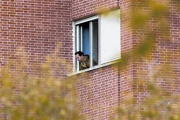 Javier Limón, el marido de Teresa Romero, asomado a la ventana de su habitación del Carlos III.-