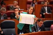 La consejera de Familia e Igualdad de Oportunidades, Milagros Marcos, durante el Pleno de las Cortes de Castilla y León-Ical
